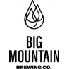 Big Mountain Brewing company